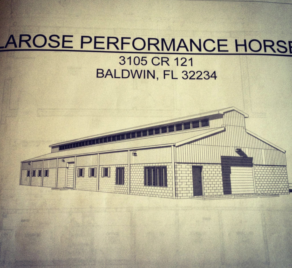 LaRose Performance Horses in Baldwin9